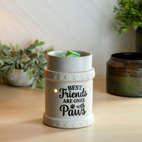 BEST FRIEND ILLUMINATION FRAGRANCE WARMER